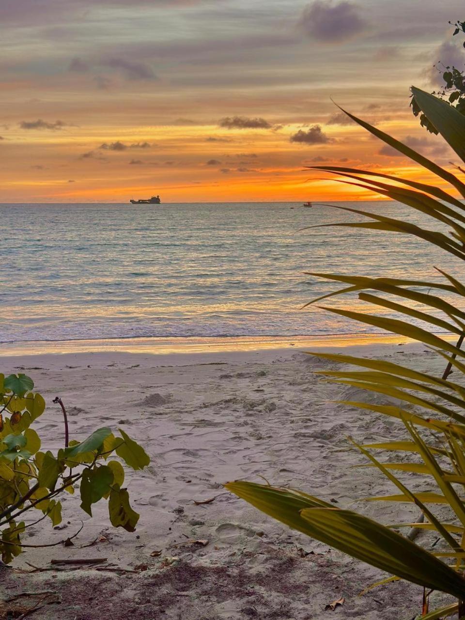 Mokara Holiday Apartment Anse Royale Buitenkant foto